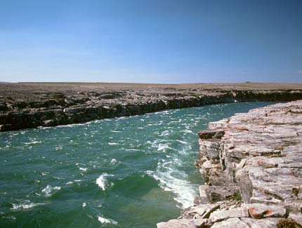Macfarlane River